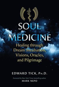 bokomslag Soul Medicine