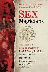 bokomslag Sex Magicians