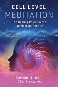 bokomslag Cell Level Meditation