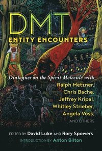 bokomslag DMT Entity Encounters