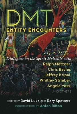 DMT Entity Encounters 1