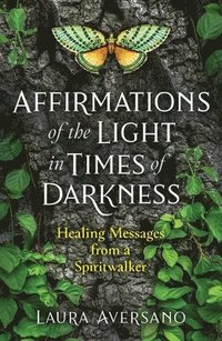 bokomslag Affirmations of the Light in Times of Darkness