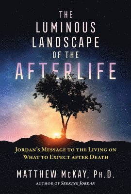 bokomslag Luminous Landscape of the Afterlife