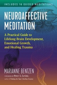 bokomslag Neuroaffective Meditation