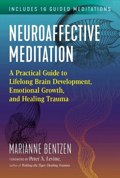 Marianne Bentzen - Neuroaffective Meditation, Häftad