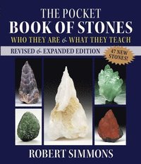 bokomslag The Pocket Book of Stones