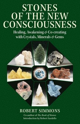 bokomslag Stones of the New Consciousness
