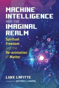 bokomslag Machine Intelligence and the Imaginal Realm