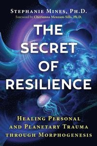 bokomslag The Secret of Resilience