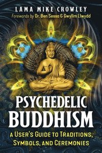 bokomslag Psychedelic Buddhism