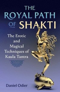 bokomslag Royal Path of Shakti