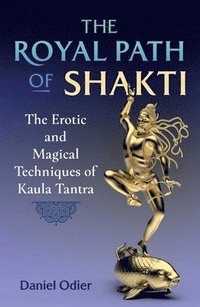 bokomslag The Royal Path of Shakti