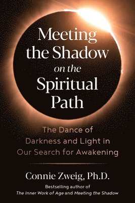 bokomslag Meeting the Shadow on the Spiritual Path