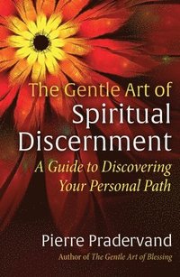 bokomslag The Gentle Art of Spiritual Discernment