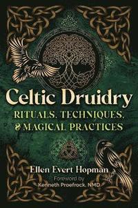 bokomslag Celtic Druidry