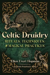 bokomslag Celtic Druidry