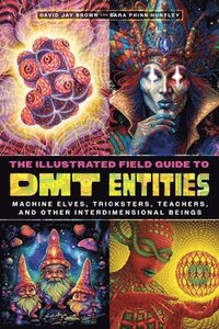 bokomslag The Illustrated Field Guide to Dmt Entities: Machine Elves, Tricksters, Teachers, and Other Interdimensional Beings