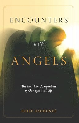 bokomslag Encounters with Angels: The Invisible Companions of Our Spiritual Life