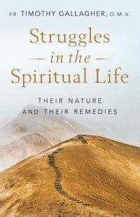 bokomslag Struggles in the Spiritual Life: Their Nature and Their Remedies