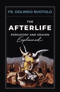 bokomslag The Afterlife