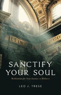 bokomslag Sanctify Your Soul: Meditations for Your Journey to Holiness