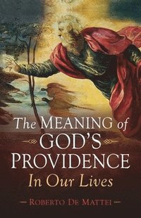 bokomslag The Meaning of God's Providence: In Our Lives