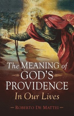 bokomslag The Meaning of Godâ (Tm)S Providence: In Our Lives