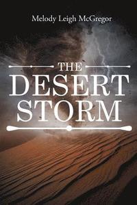 bokomslag Desert Storm