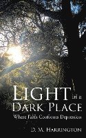 Light in a Dark Place 1