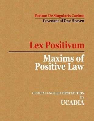 bokomslag Maxims of Positive Law