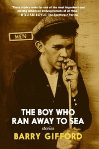 bokomslag The Boy Who Ran Away To Sea