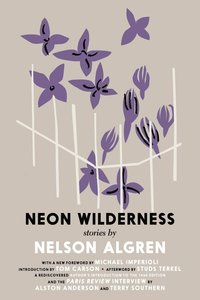 bokomslag The Neon Wilderness
