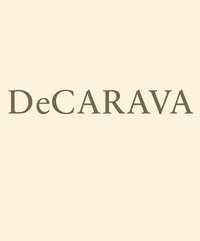 bokomslag Roy DeCarava: Light Break