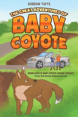 bokomslag Great Adventures of Baby Coyote