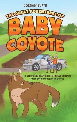 bokomslag Great Adventures of Baby Coyote
