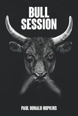 bokomslag Bull Session