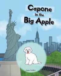 bokomslag Capone in the Big Apple