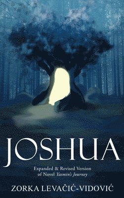 Joshua 1