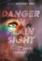 Danger in Plain Sight 1