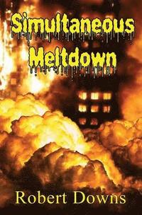 bokomslag Simultaneous Meltdown