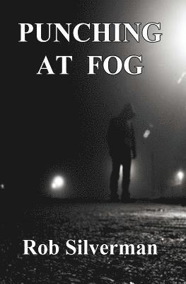 bokomslag Punching at Fog