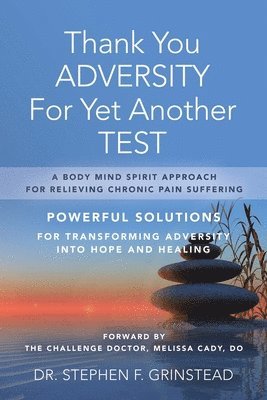 bokomslag Thank You Adversity For Yet Another Test