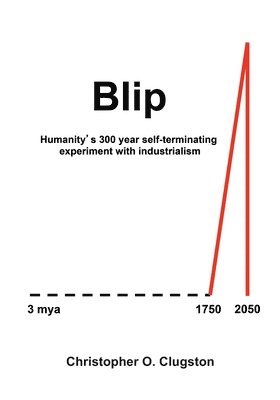 bokomslag Blip