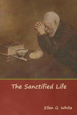 bokomslag Sanctified Life