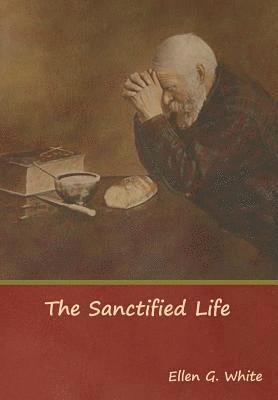 bokomslag Sanctified Life