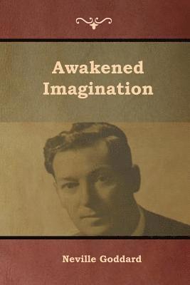 bokomslag Awakened Imagination