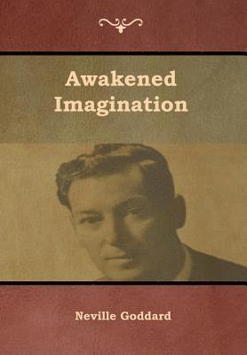 bokomslag Awakened Imagination