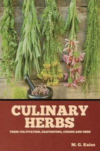 bokomslag Culinary Herbs