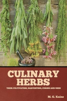 Culinary Herbs 1