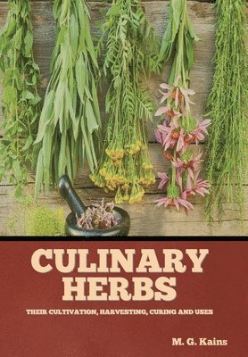 Culinary Herbs 1